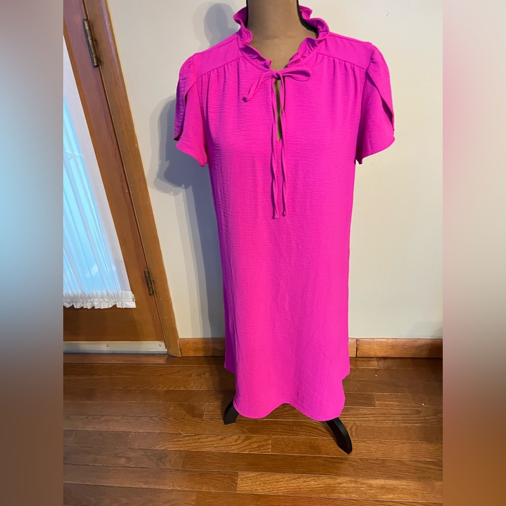 NO LABEL Elegant Pink Dress